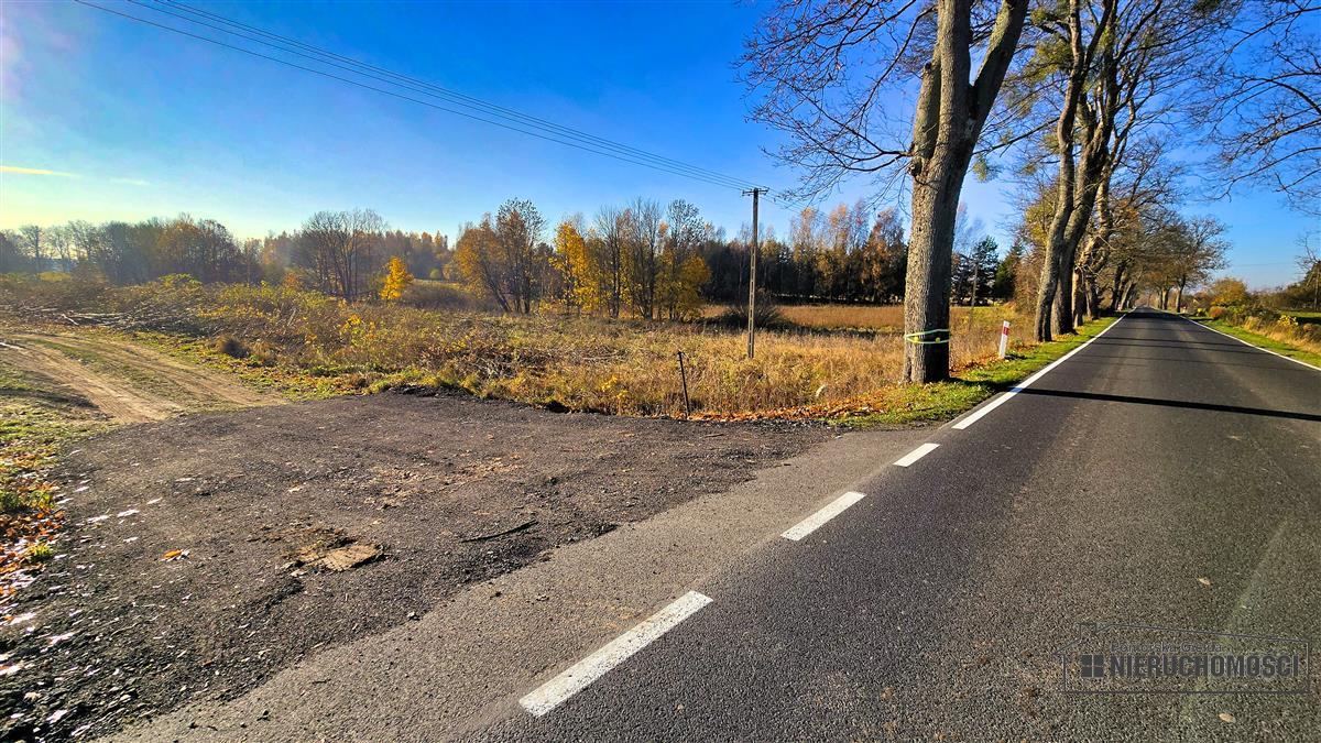 Sprzedaż Działka Sikory