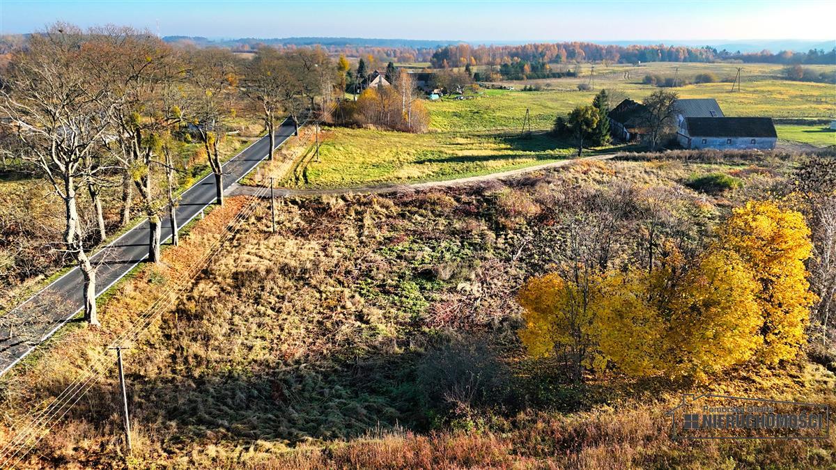 Sprzedaż Działka Sikory