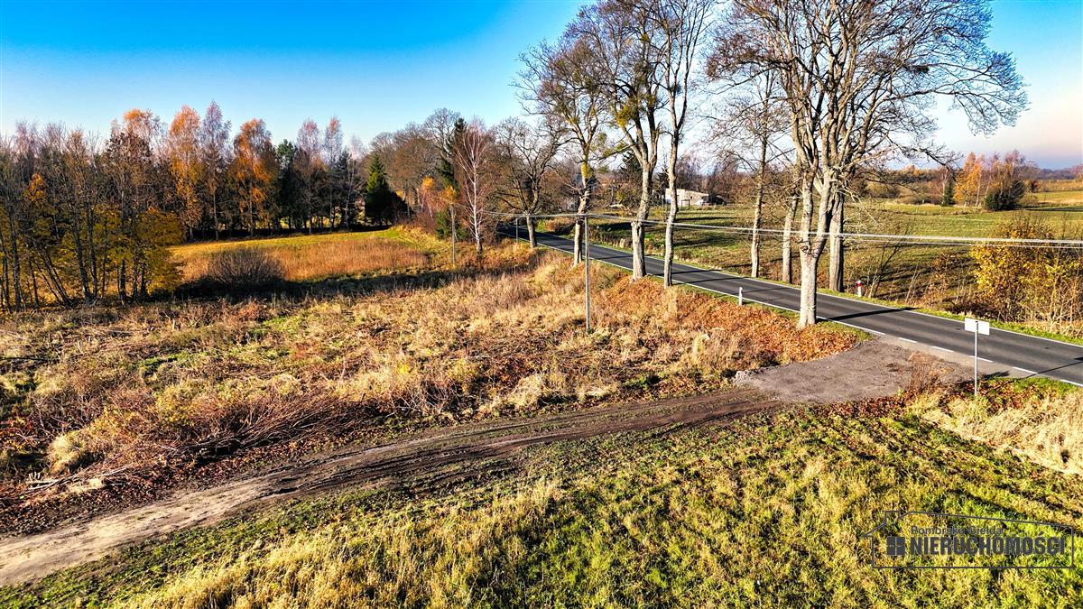 Sprzedaż Działka Sikory