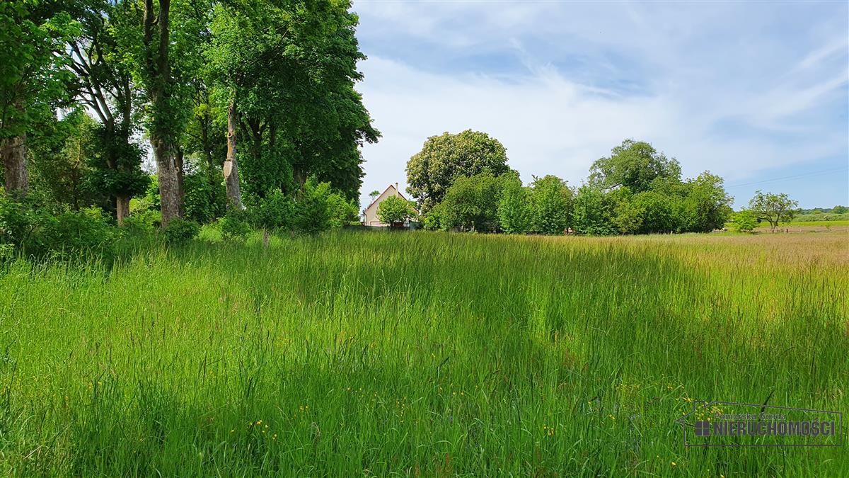 Sprzedaż Działka Nieżyn