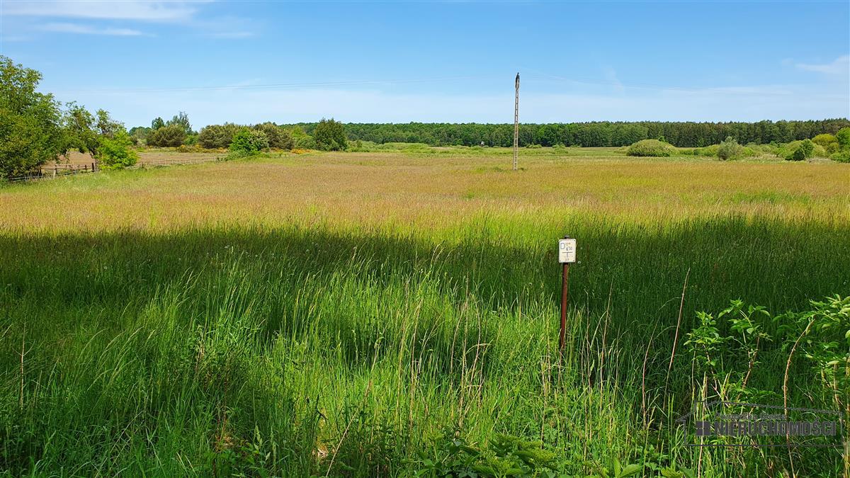 Sprzedaż Działka Nieżyn