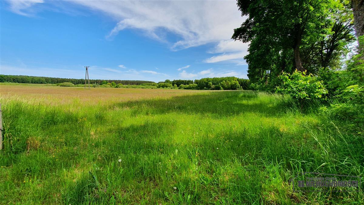 Sprzedaż Działka Nieżyn