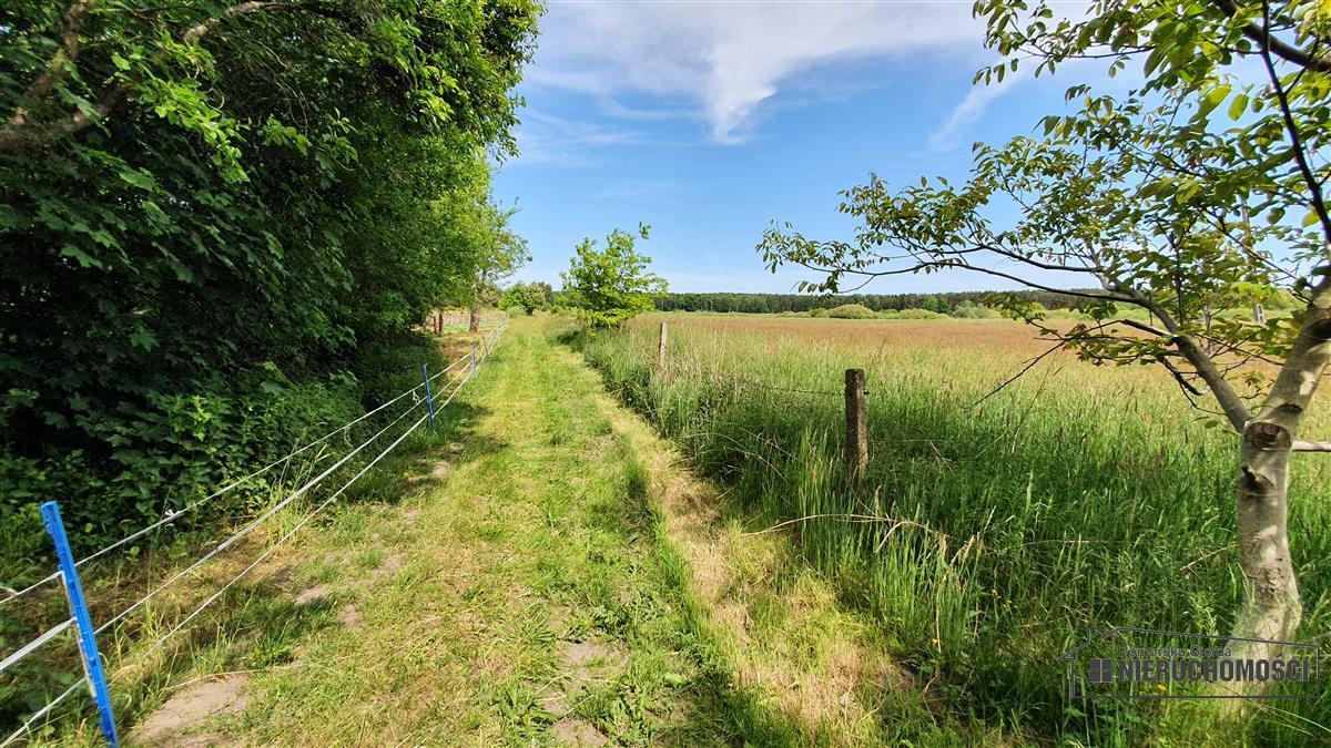 Sprzedaż Działka Nieżyn