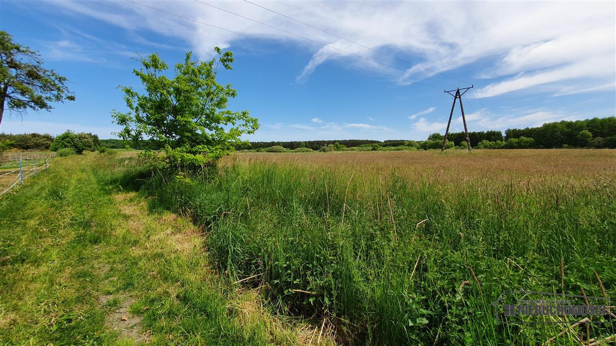 Sprzedaż Działka Nieżyn