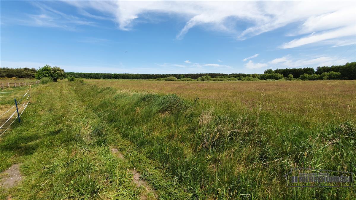 Sprzedaż Działka Nieżyn
