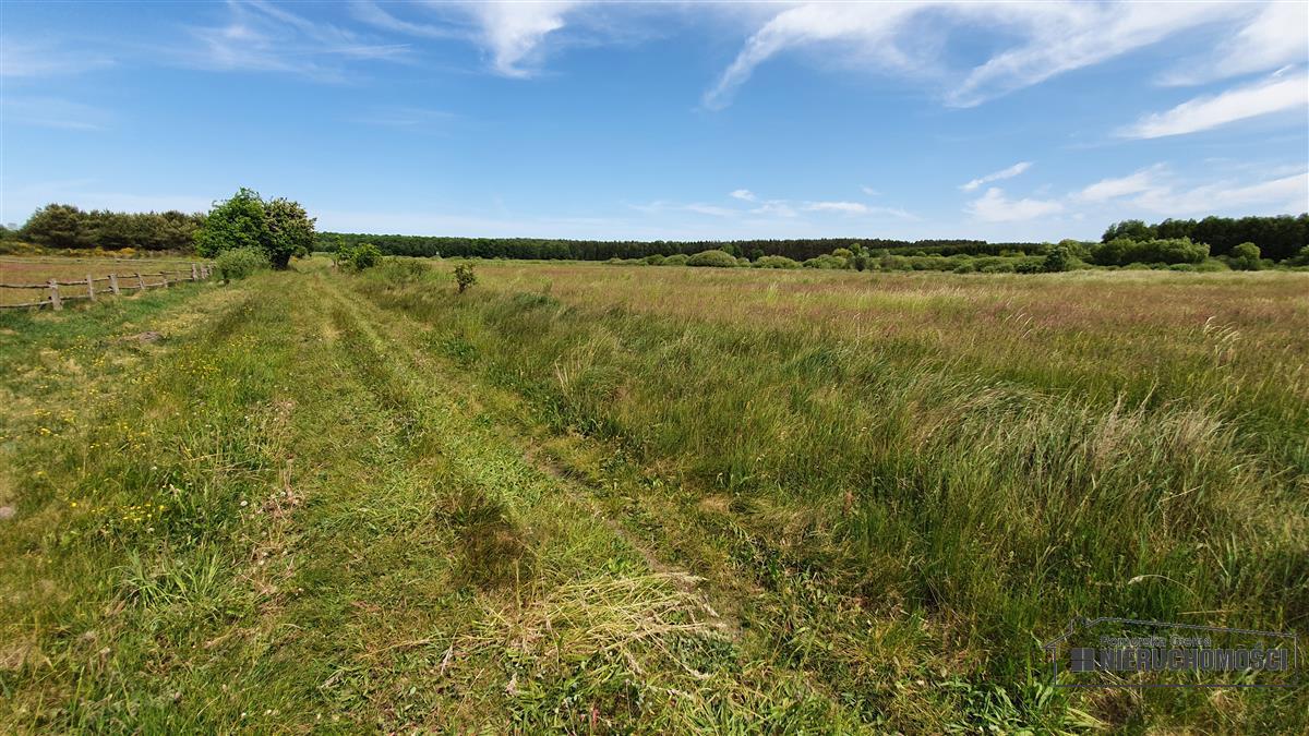 Sprzedaż Działka Nieżyn
