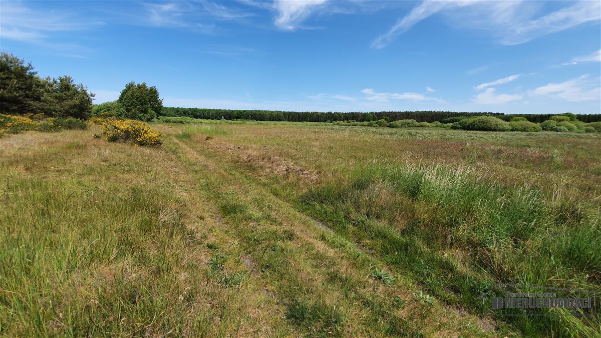 Sprzedaż Działka Nieżyn