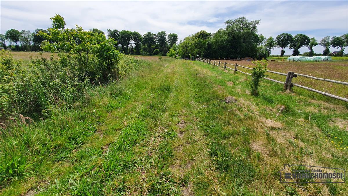 Sprzedaż Działka Nieżyn