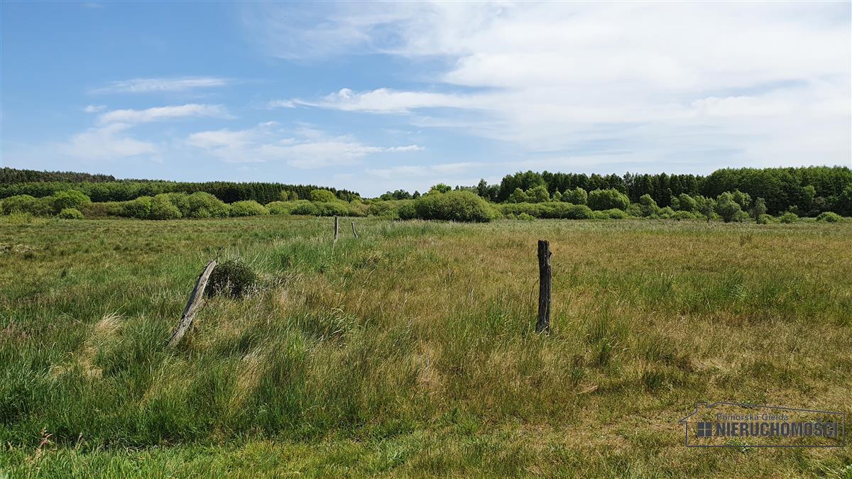 Sprzedaż Działka Nieżyn