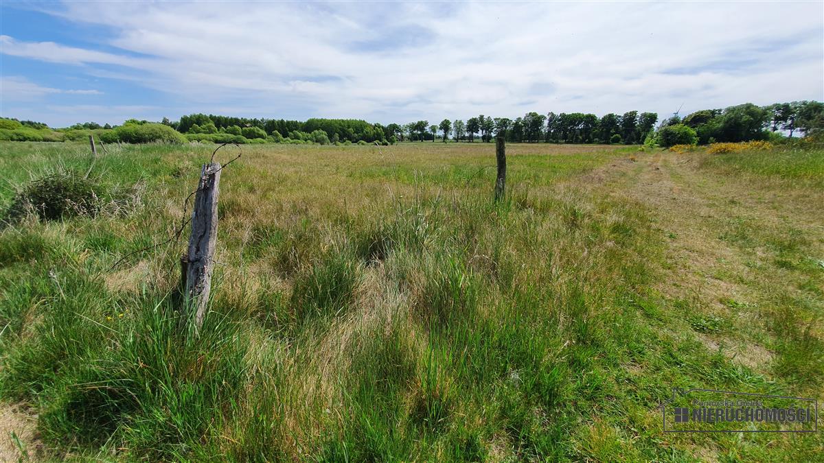 Sprzedaż Działka Nieżyn
