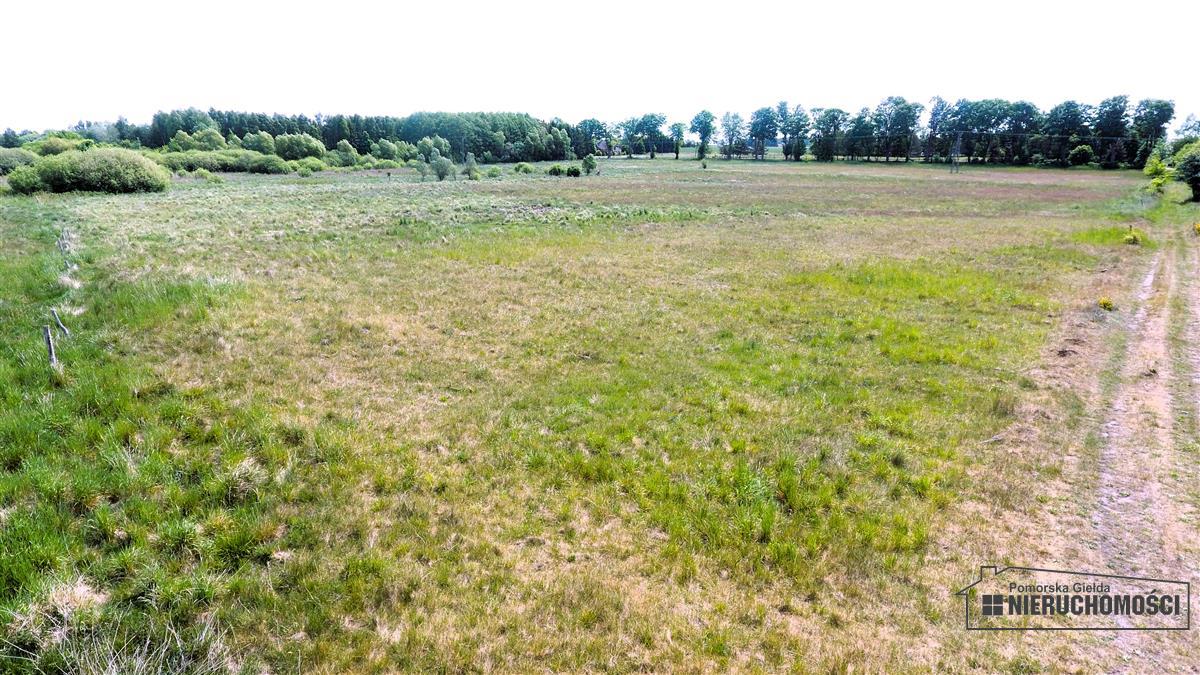 Sprzedaż Działka Nieżyn