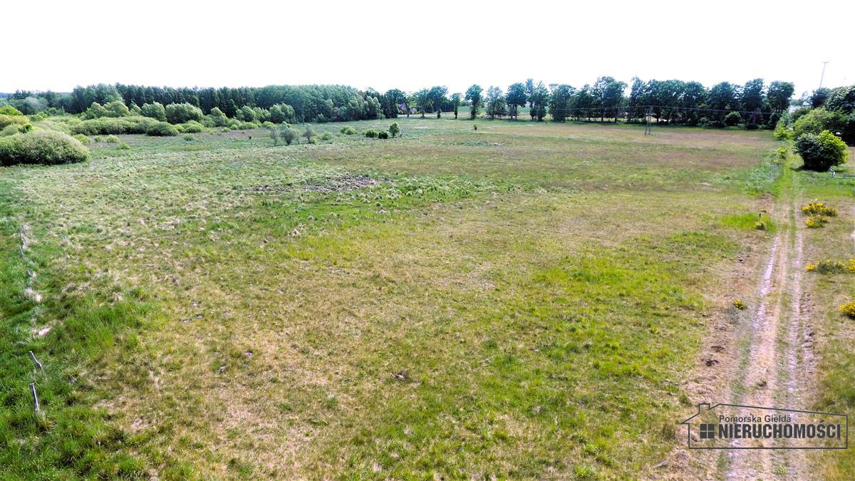 Sprzedaż Działka Nieżyn