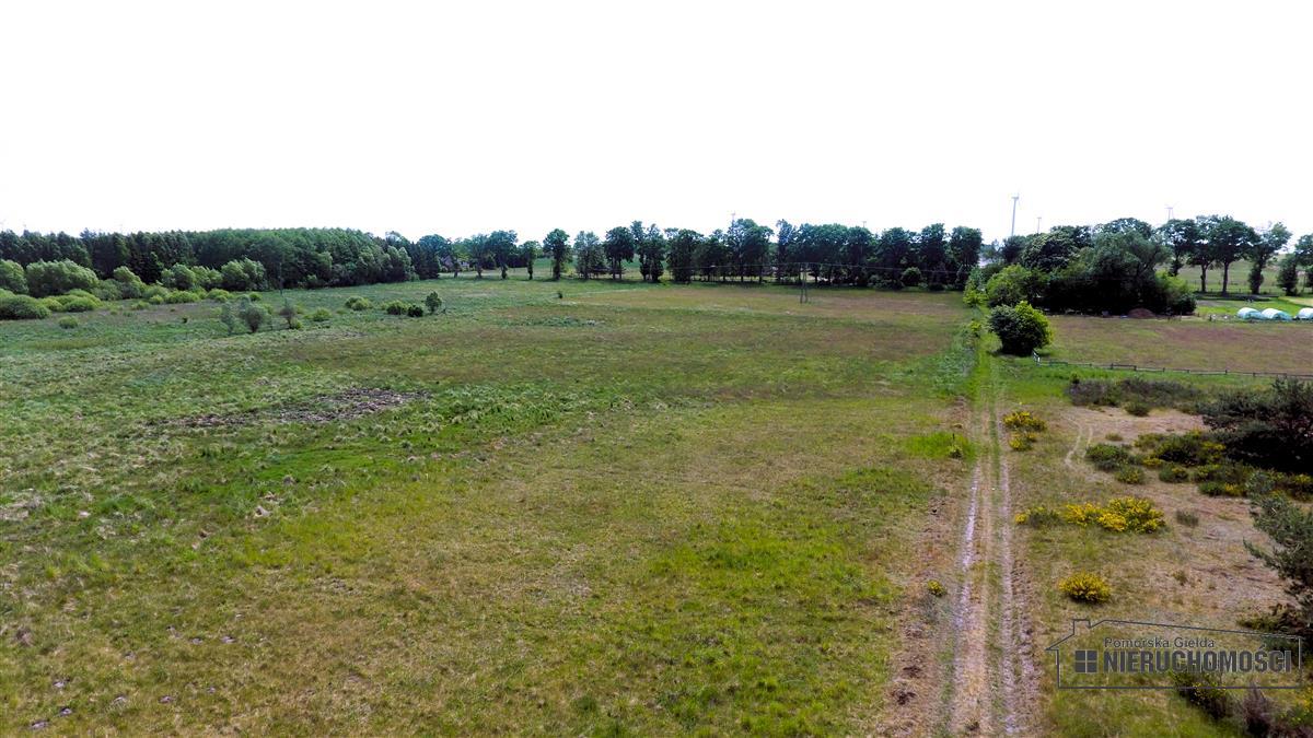Sprzedaż Działka Nieżyn