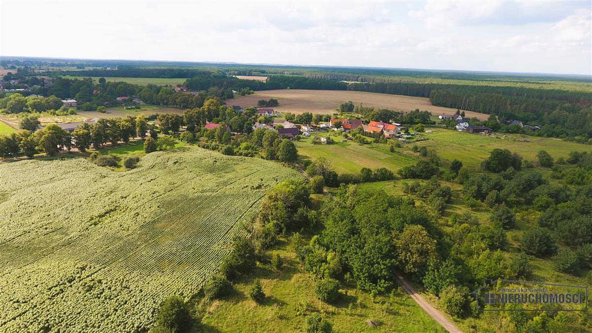 Sprzedaż Działka budowlana Bogusław