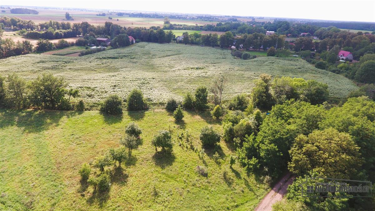 Sprzedaż Działka budowlana Bogusław