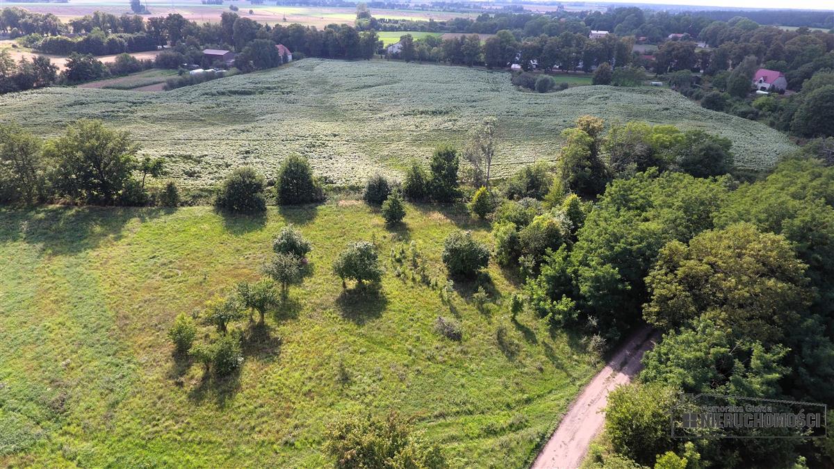 Sprzedaż Działka budowlana Bogusław