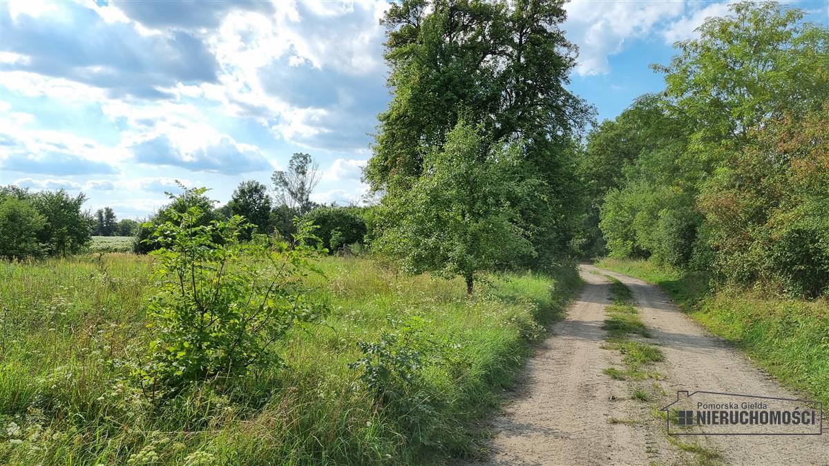 Sprzedaż Działka budowlana Bogusław