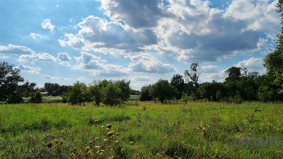 Sprzedaż Działka budowlana Bogusław