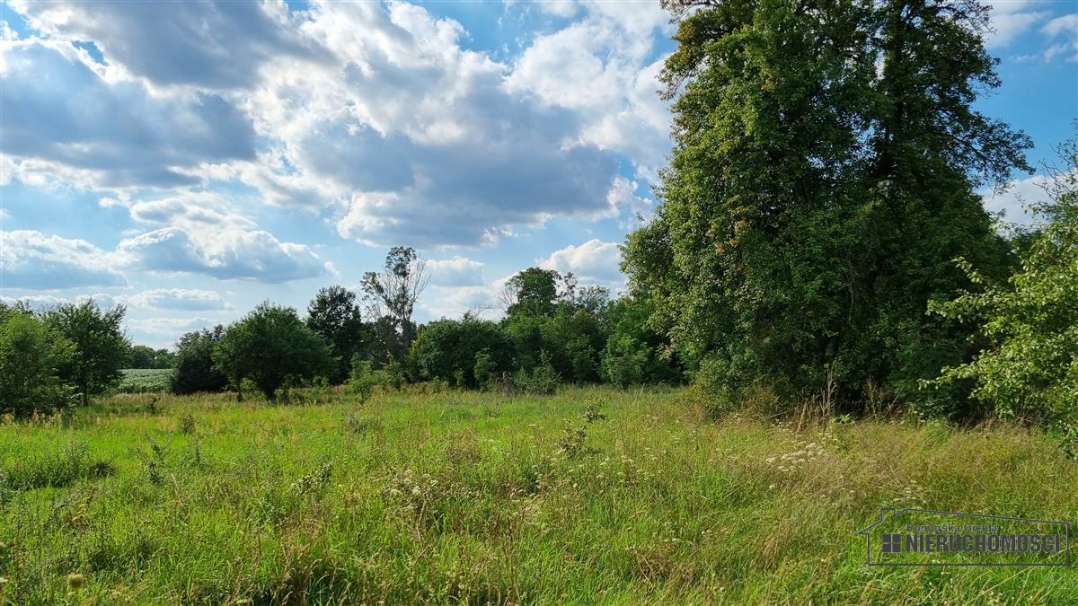 Sprzedaż Działka budowlana Bogusław
