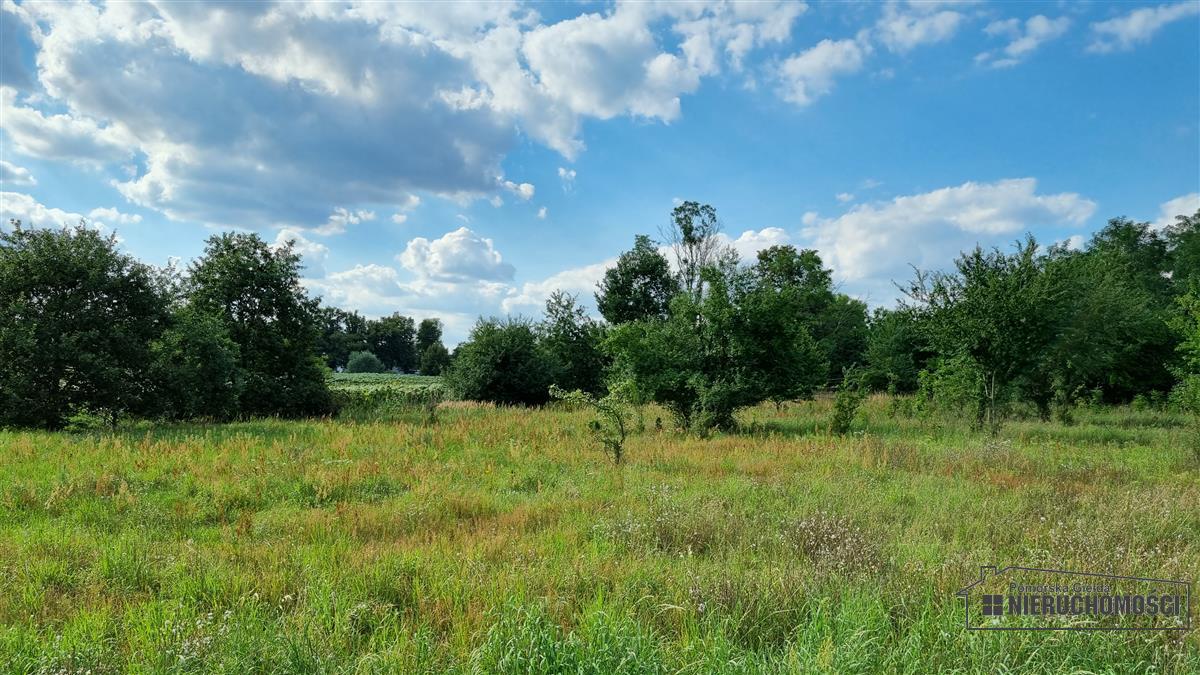 Sprzedaż Działka budowlana Bogusław