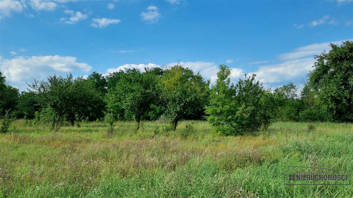 Sprzedaż Działka budowlana Bogusław