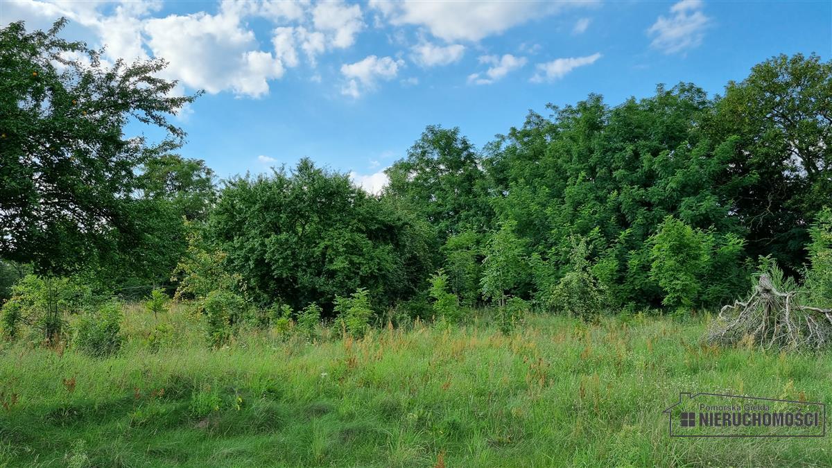 Sprzedaż Działka budowlana Bogusław