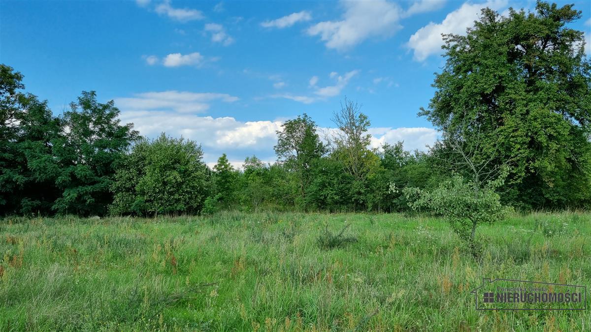 Sprzedaż Działka budowlana Bogusław