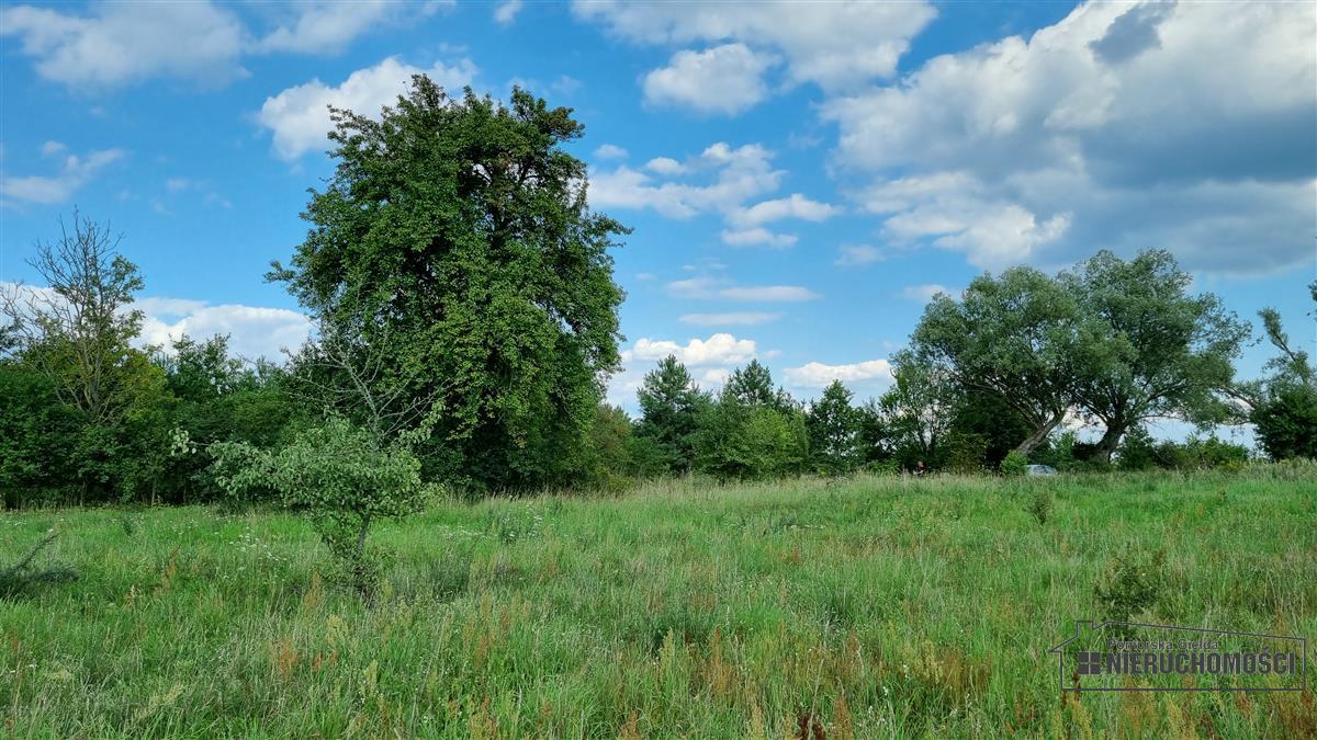 Sprzedaż Działka budowlana Bogusław