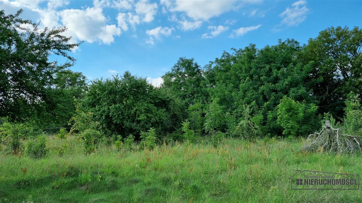 Sprzedaż Działka budowlana Bogusław