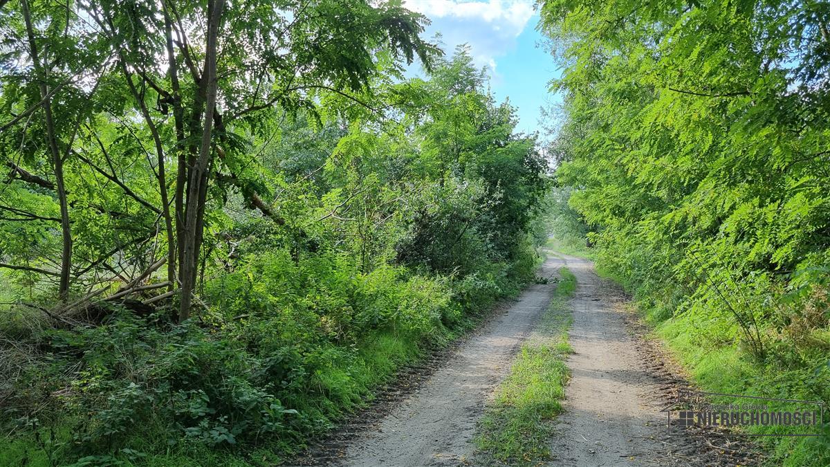 Sprzedaż Działka budowlana Bogusław