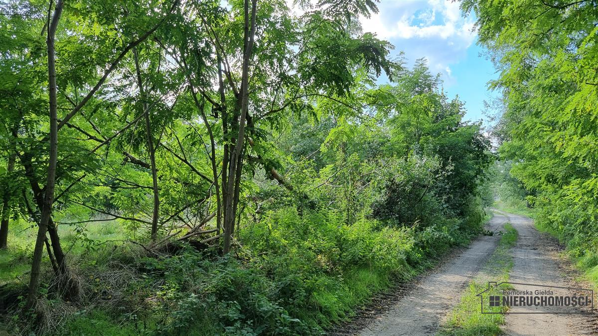 Sprzedaż Działka budowlana Bogusław