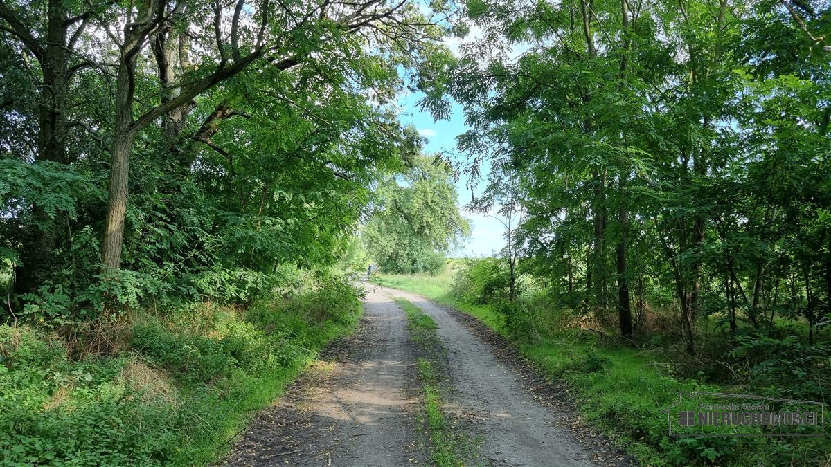 Sprzedaż Działka budowlana Bogusław