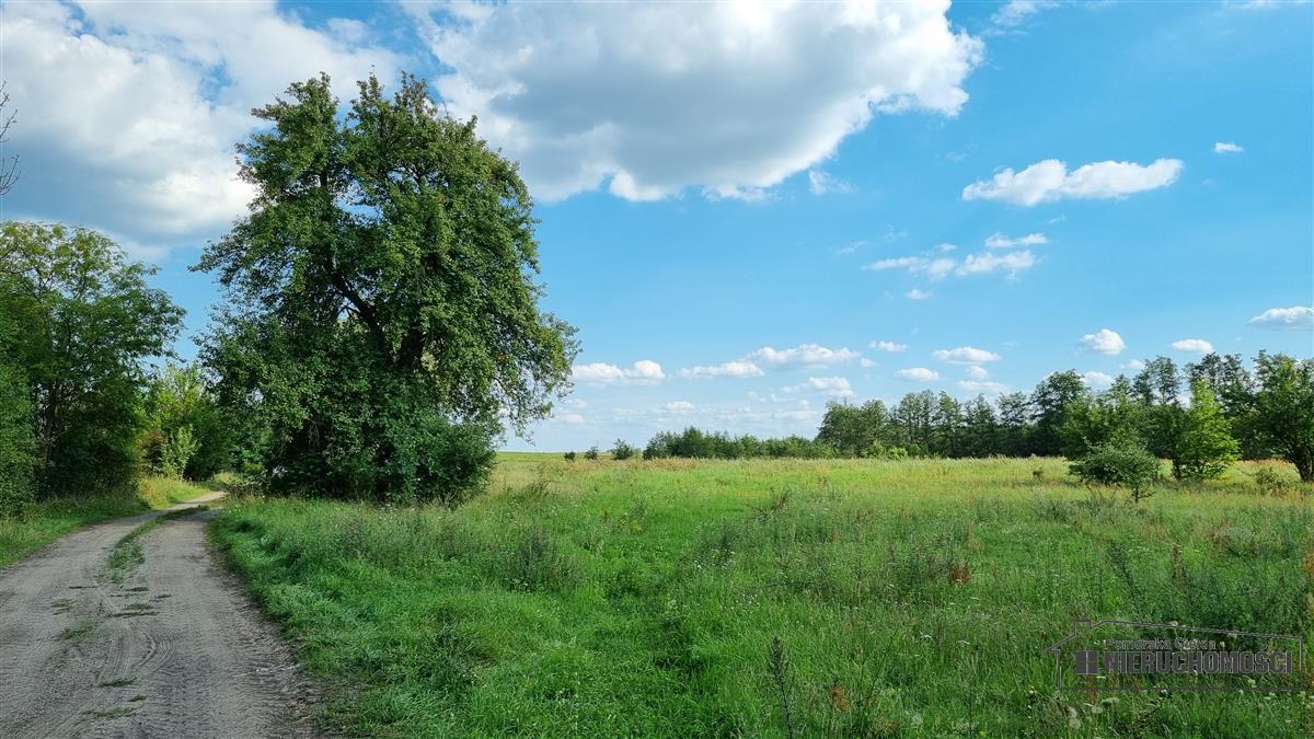 Sprzedaż Działka budowlana Bogusław