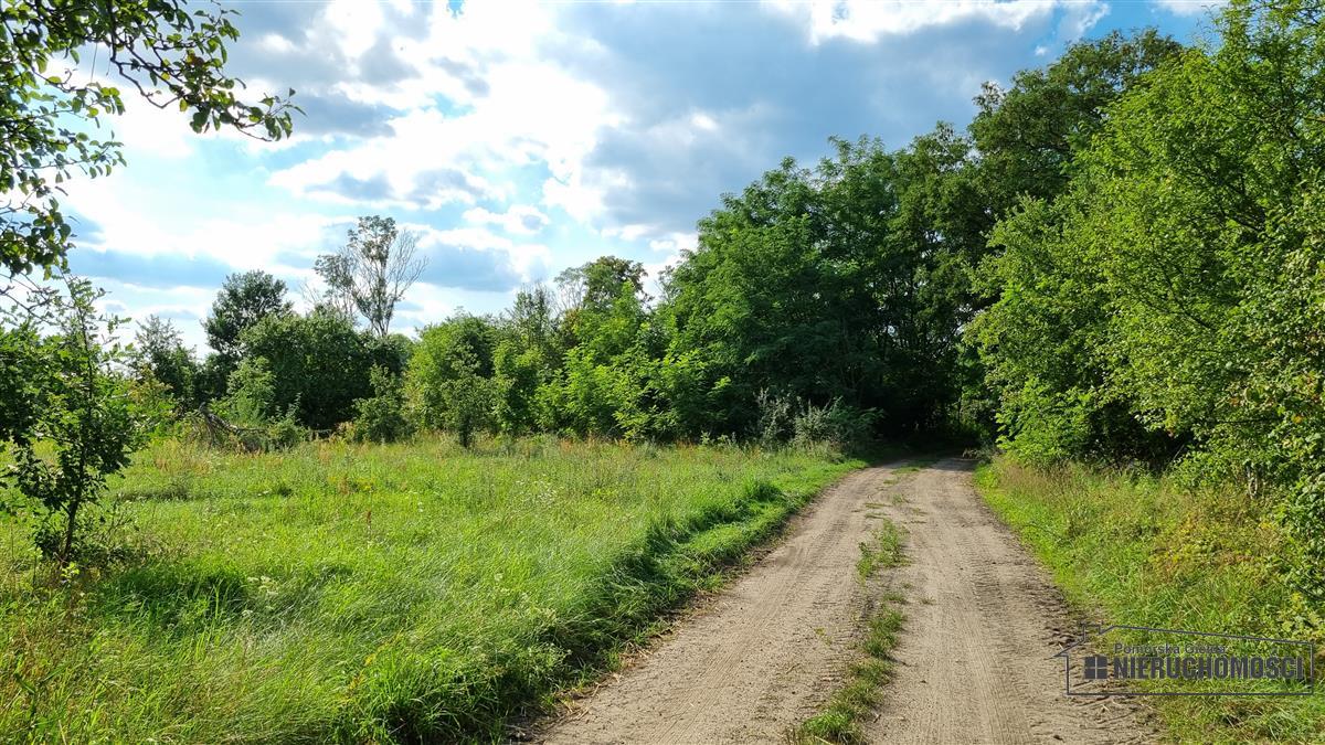 Sprzedaż Działka budowlana Bogusław