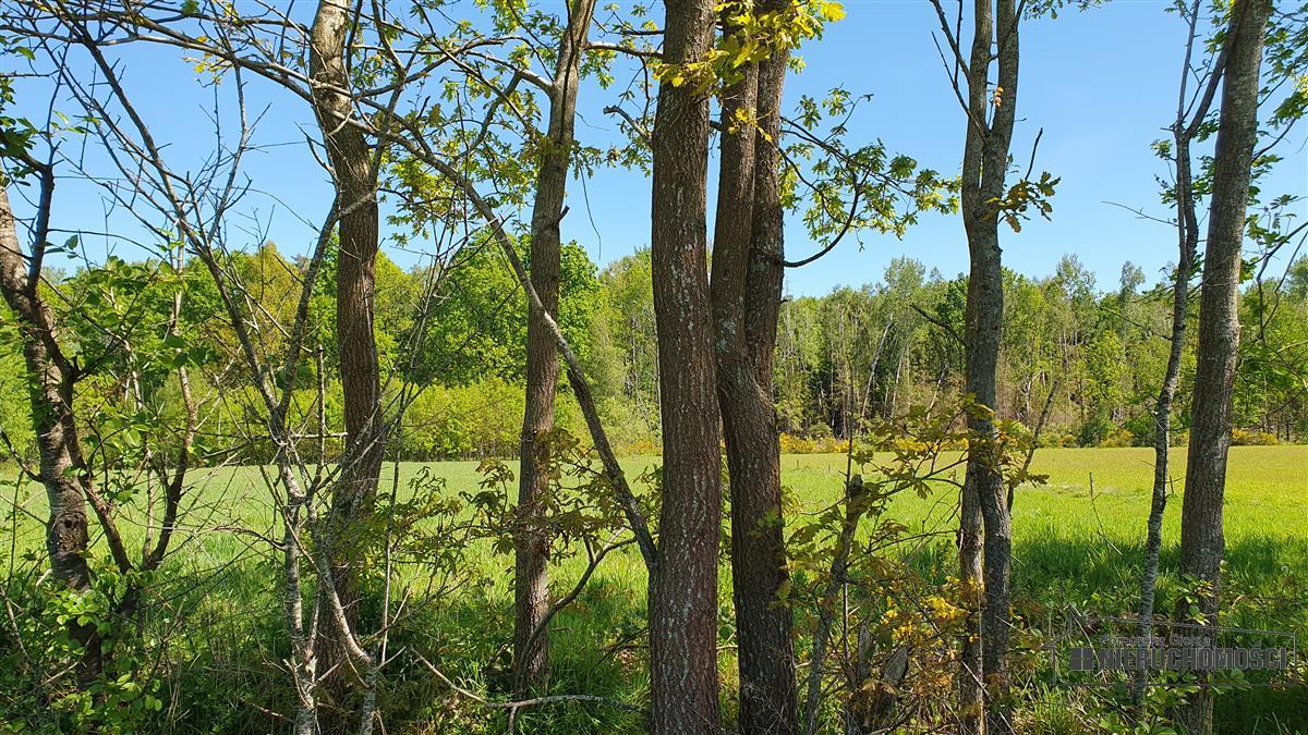 Sprzedaż Działka budowlana Żeleźno