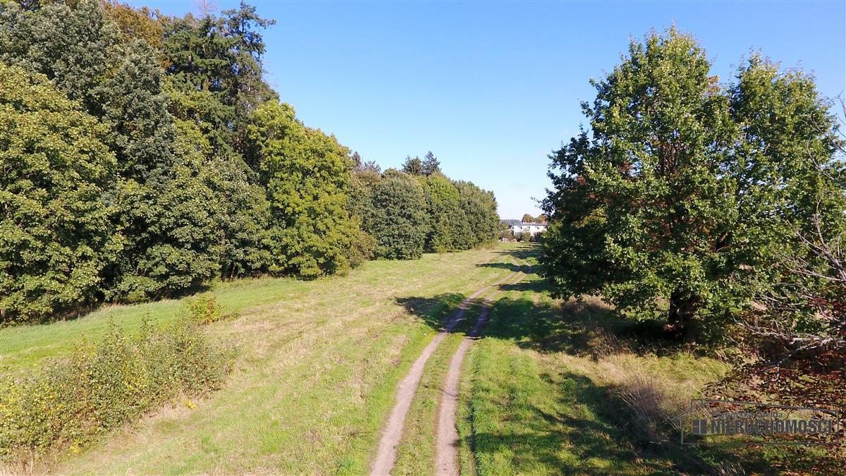Sprzedaż Działka budowlana Starzyce
