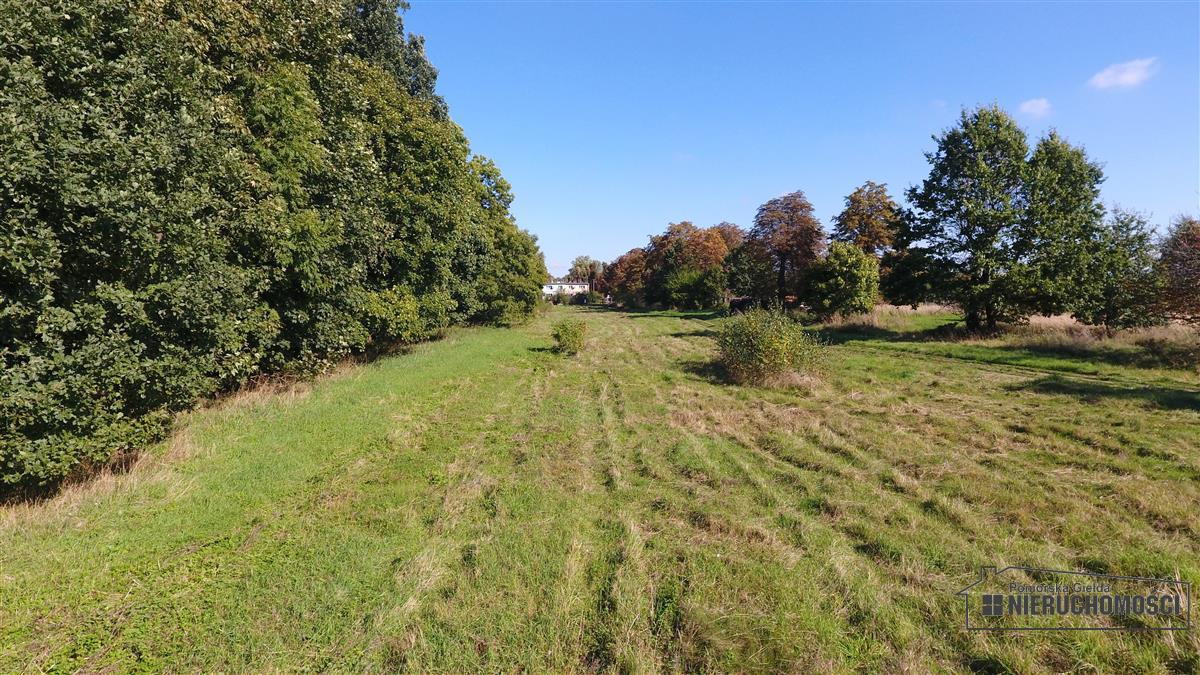 Sprzedaż Działka budowlana Starzyce