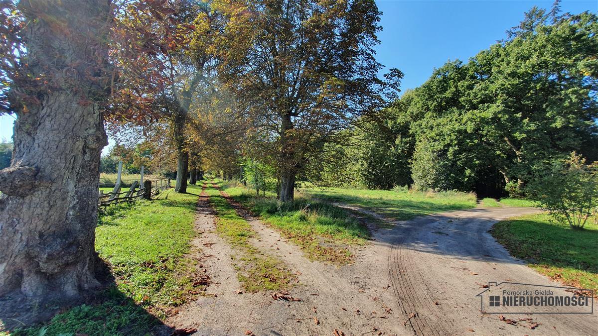 Sprzedaż Działka budowlana Starzyce