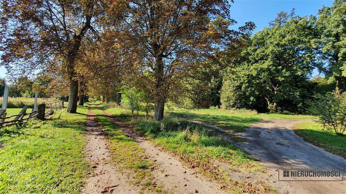 Sprzedaż Działka budowlana Starzyce