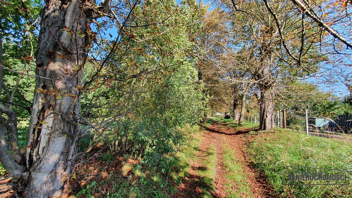 Sprzedaż Działka budowlana Starzyce