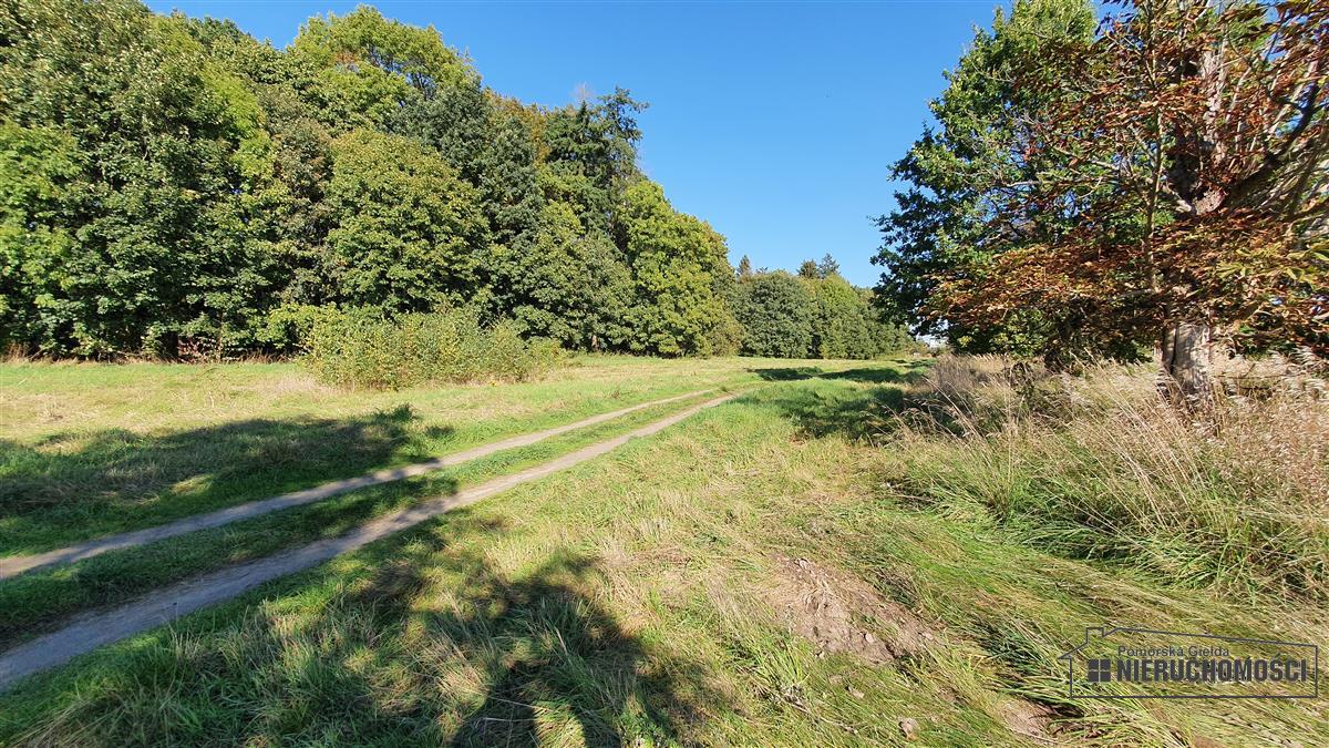 Sprzedaż Działka budowlana Starzyce