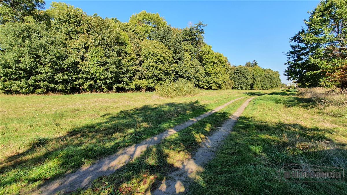 Sprzedaż Działka budowlana Starzyce