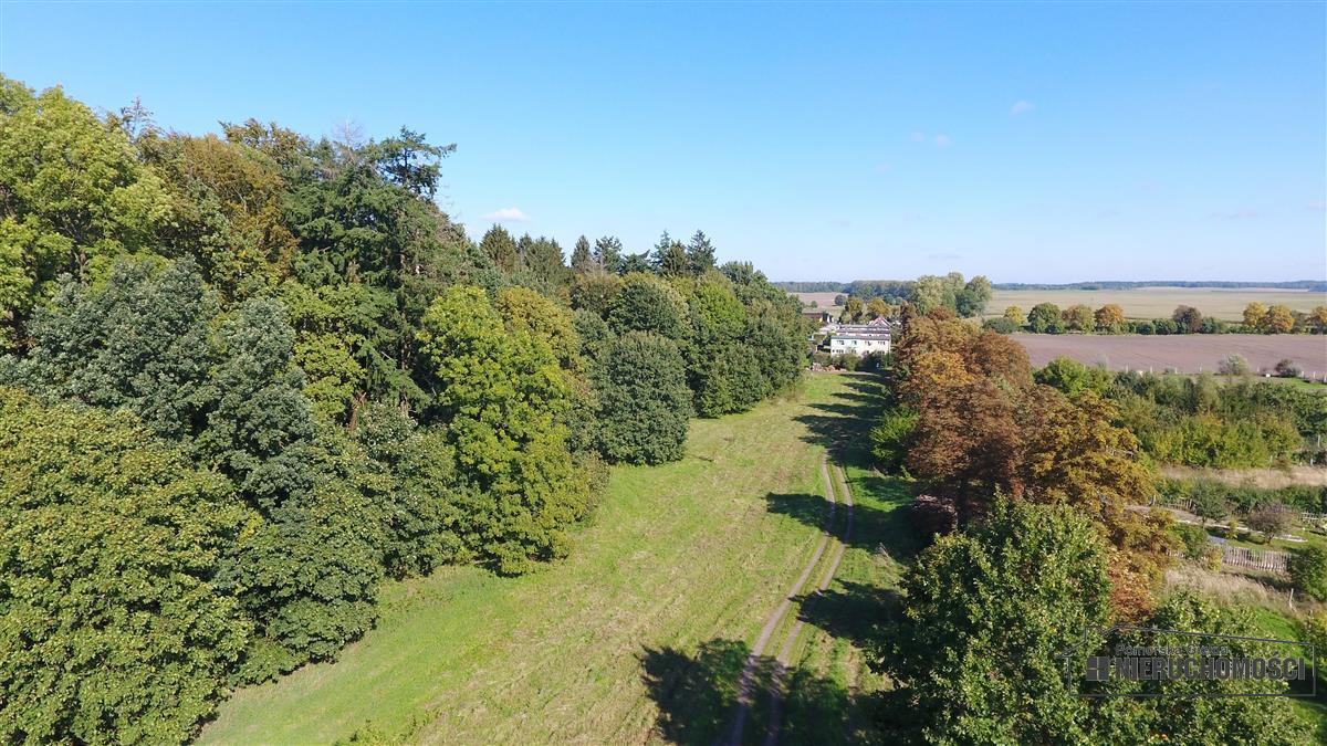 Sprzedaż Działka budowlana Starzyce