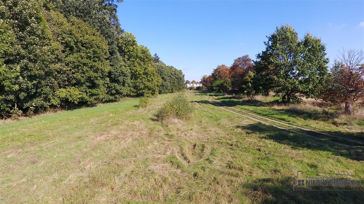 Sprzedaż Działka budowlana Starzyce