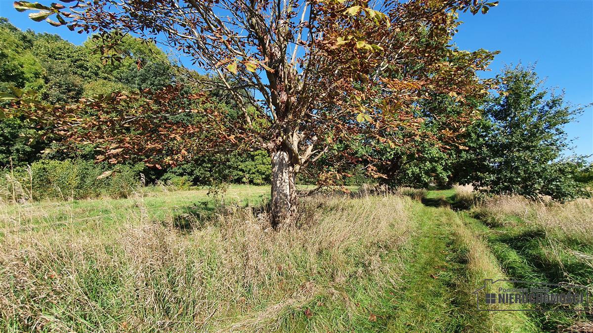 Sprzedaż Działka budowlana Starzyce