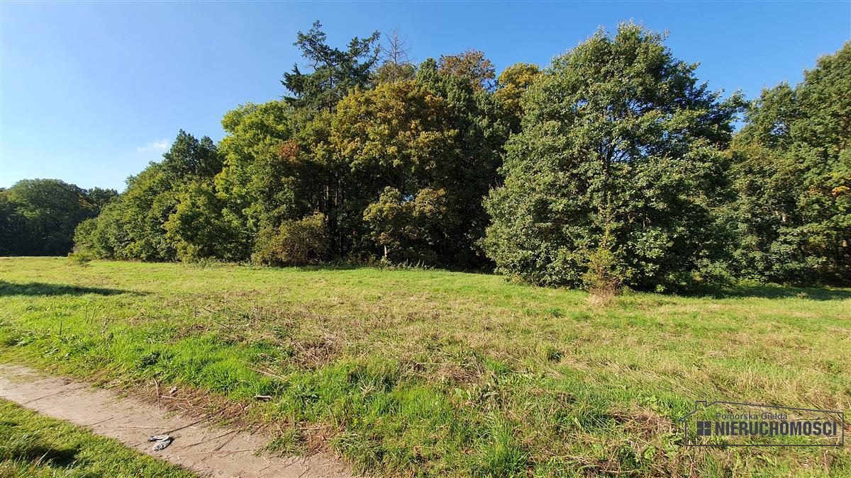 Sprzedaż Działka budowlana Starzyce