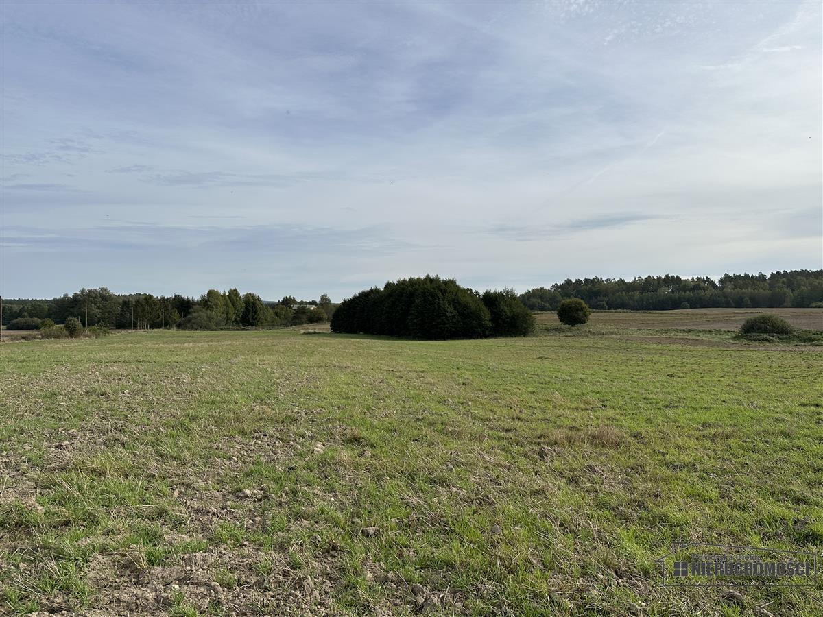 Sprzedaż Działka budowlana Nowy Chwalim