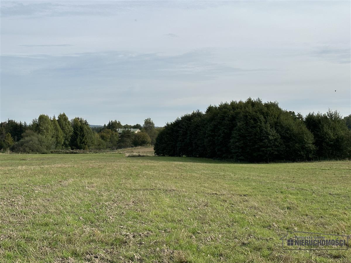 Sprzedaż Działka budowlana Nowy Chwalim