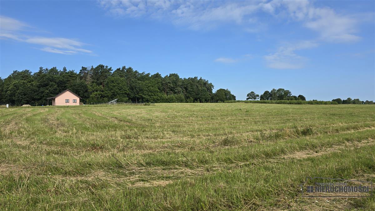 Sprzedaż Działka budowlana Sadkowo