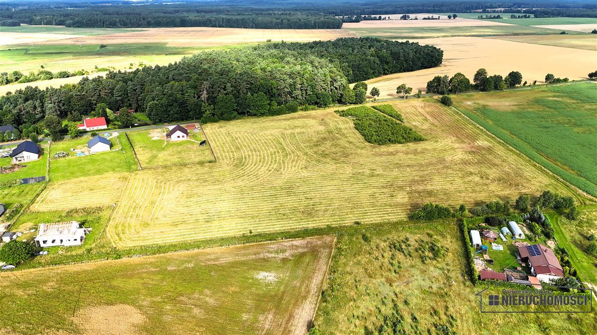 Sprzedaż Działka budowlana Sadkowo